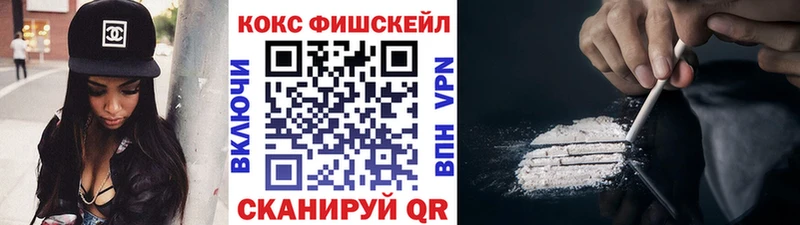 COCAIN Fish Scale  дарнет шоп  mega вход  Томмот 