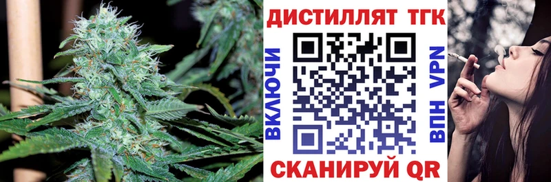 ТГК концентрат  Томмот 