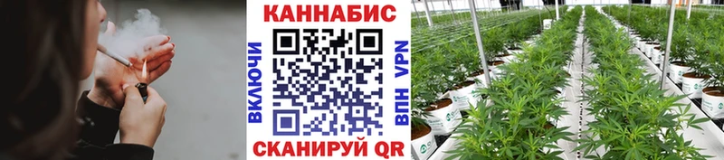 нарко площадка наркотические препараты  дарнет шоп  Томмот  Бошки марихуана Amnesia 